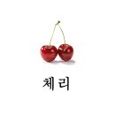 주행경희한의원 이미지