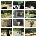 국가대표태권도1관 | 대전 오월드 ﻿[전주 송천동 태권도/전주 에코시티 태권도/전주 오송초 태권도] 국가대표태권도 정은도장