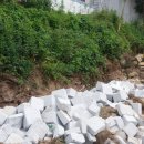 뽑기 생각 이미지