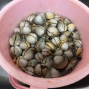 갯벌부흥펜션 이미지