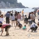 보물찾기 연합뉴스