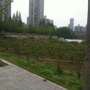 마이더스공인중개사사무소 이미지