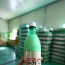 중남초등학교 | 울산 막걸리 추천 쌀막걸리 탁배기 / 가지산막걸리 언양양조장