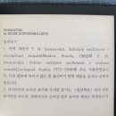 CREMA 이미지