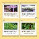 (주)파이브테크 네이버블로그