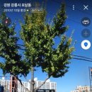 송정모터스 이미지