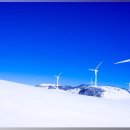 하늘목장 이미지