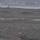 계룡초등학교 이미지