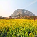 여행자게스트하우스 이미지