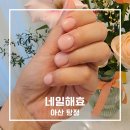 네일이좋아 - 서산시 | 아산 탕정 네일샵 추천 네일해효 유지력 좋아 재방문한 내돈내산 후기
