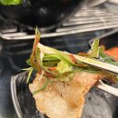 도니조아 이미지