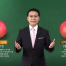 생명나무 이미지