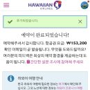 요가라니아 | 신혼여행지 결정 : 타히티 보라보라섬이 아닌 하와이가 돼버렸지만, 알로하도 사랑이다 ♡