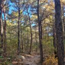 매송체육공원 게이트볼장 이미지