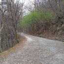 언택트세이프? 이미지