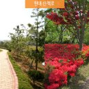 화순무지개요양병원 이미지