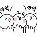 요티인 목포 이미지