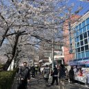 CU(벚꽃점) 이미지