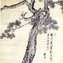 지중해소나무