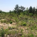 아야진부동산 공인중개사사무소 이미지