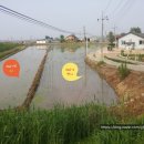 권영준공인중개사사무소 이미지