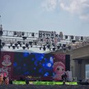 [생태체험] 대저생태공원 - 4월 6일(토) 오전 | 부산 벚꽃축제 대저생태공원 4월 4일 개화상황