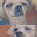 짱구분식 이미지