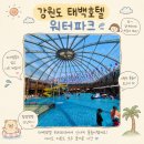무등파크호텔사우나 | 태백) 태백호텔 워터파크 워터풀&amp;사우나 후기｜아이와 태백 물놀이, 버블파티·수중스쿠터까지 내돈내산...