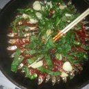 김성훈농장 이미지