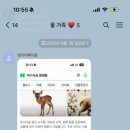 페리카나 오천원동점 이미지