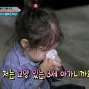 책방온실