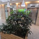 제이부동산공인중개사사무소 이미지