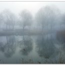 율하체육공원 생태연못 이미지