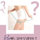 몸사랑피부샵