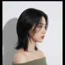 예술가헤어살롱