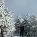 2/16 충북 단양 소백산 (비로봉1,439m) 산행 안내 이미지