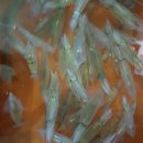 아름다운 동해안 2구간 마지막(아쉬운 시간) 이미지