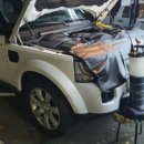 도리2천 이미지