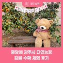 다연농장 이미지