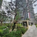 뉴골드타운 이미지