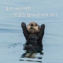 대성곱창 이미지