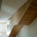 도무스(Domus) 이미지