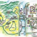 봉평메밀숲 이미지