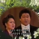 목련화 이미지