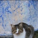 장가이미용실 이미지