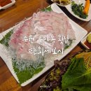 뜨는회세꼬시