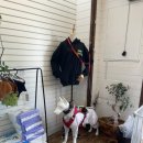 제주펫스쿨 이미지