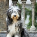 또와PC방 이미지