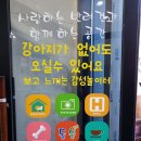 충청북도 청주시 펫돌봄애견카페, 가격, 리뷰, 후기