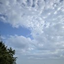 한비다방 이미지